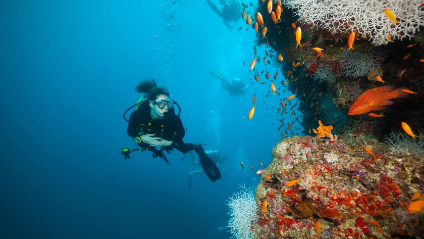 Diving