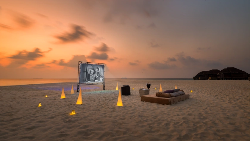 Cinema Under the Stars