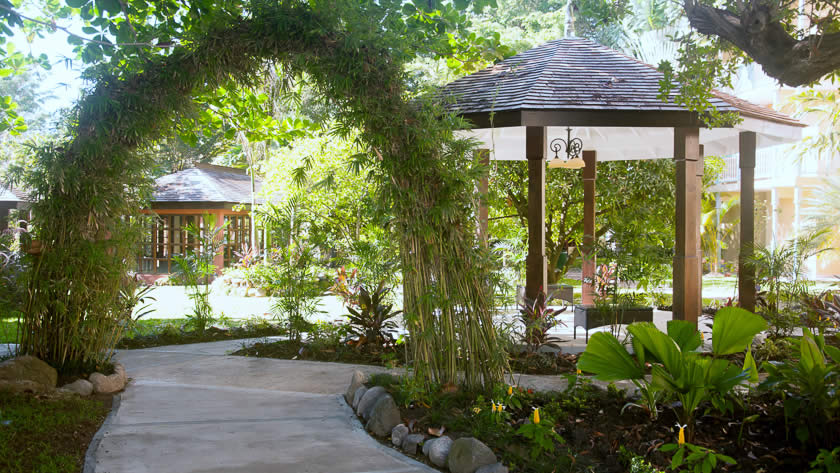 Tropical Gardens