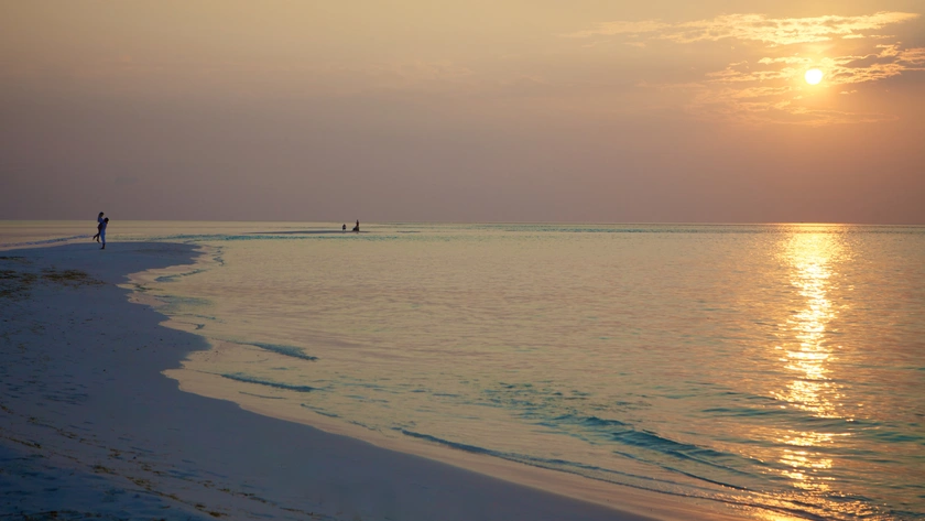 Stunning Sunsets