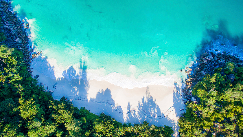 Sea