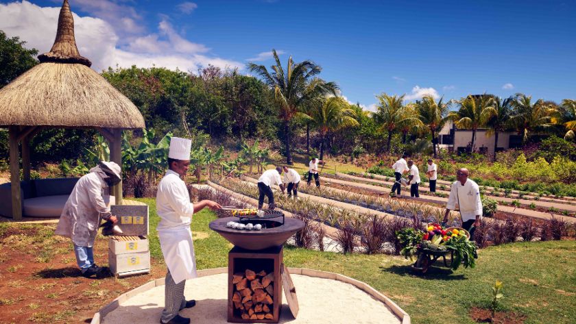 Chef's Garden