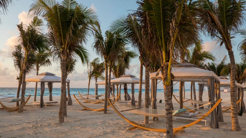 Hammocks on the Beach 