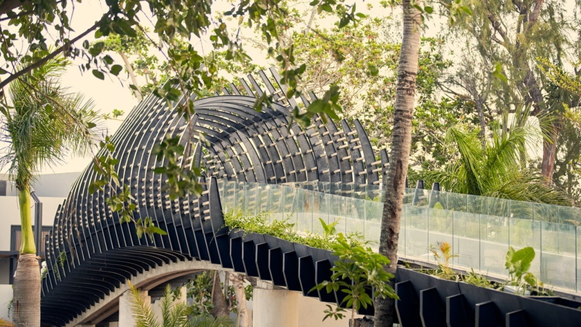 Sky Walk