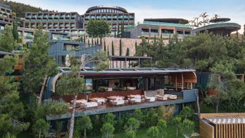 Exclusive Secret Restaurant Terrace