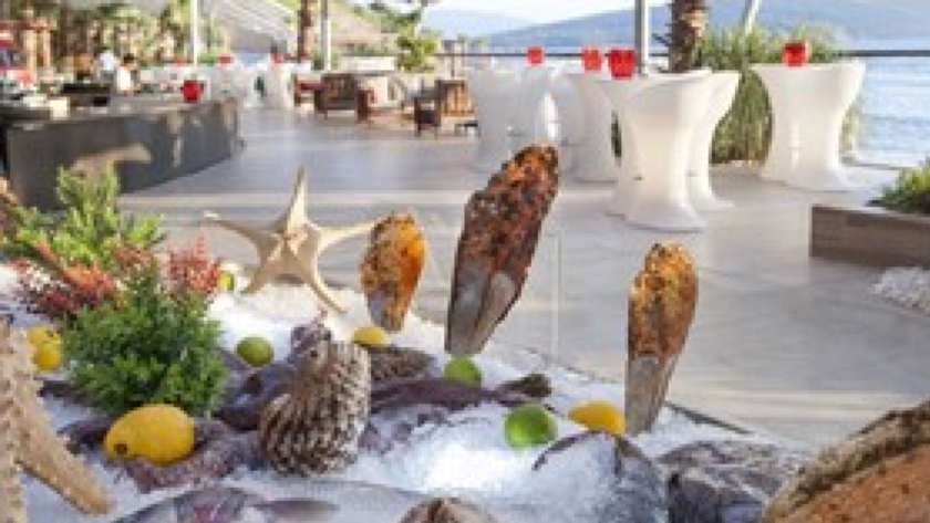 Seafood
