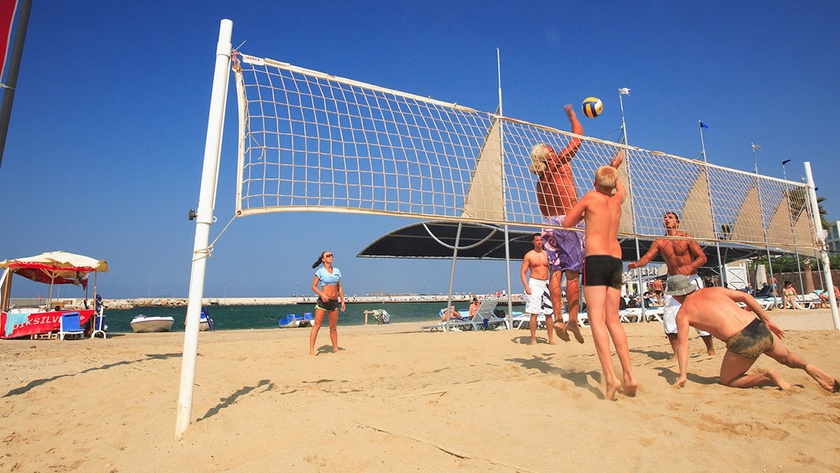 Volleyball