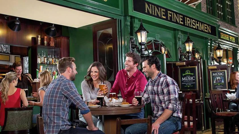 Nine Fine Irishmen Pub