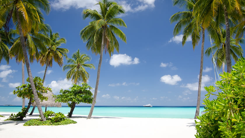 Stunning Beach