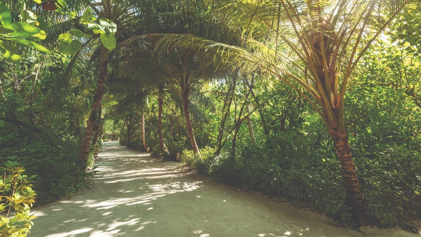 Lush Gardens