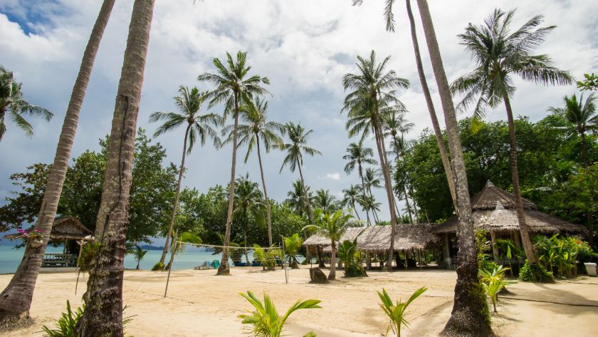 Volleyball Court