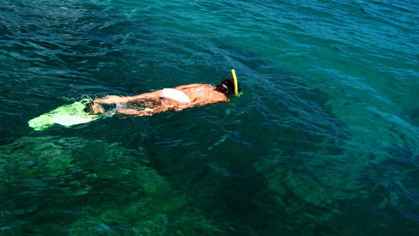Snorkeling 
