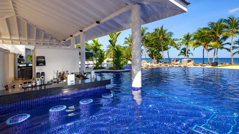 Dips Swim Up Bar