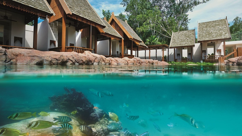 Ocean Pool