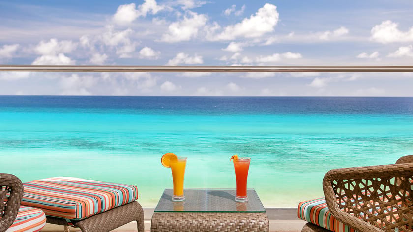 What a View!
