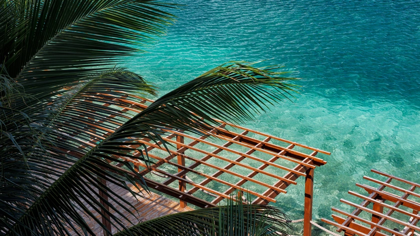 Crystal Clear Waters