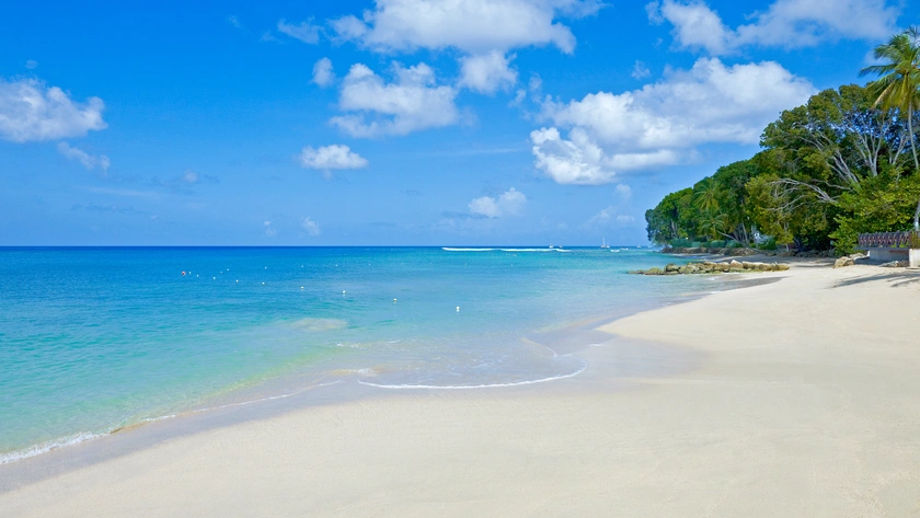 Beach View