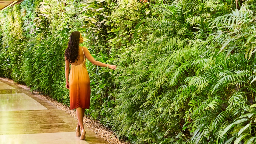 Green Wall