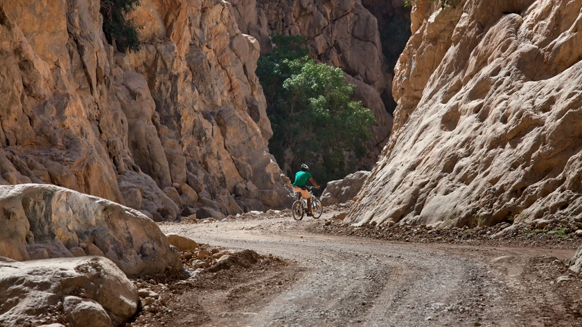 Mountain Biking