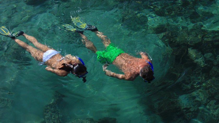 Snorkelling