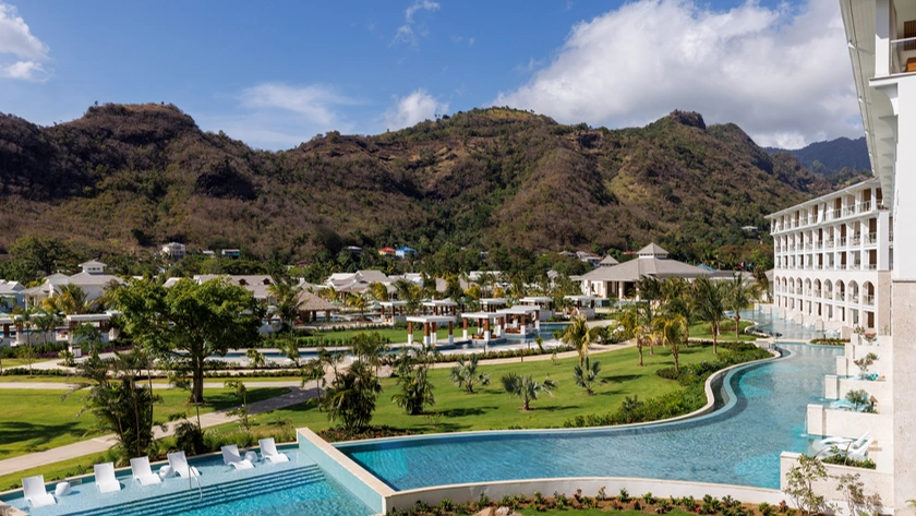 Lady Palm Pool