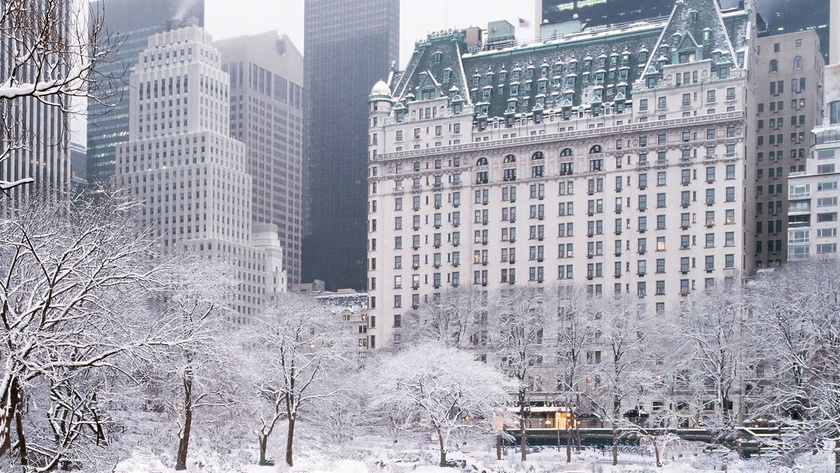 Winter Views