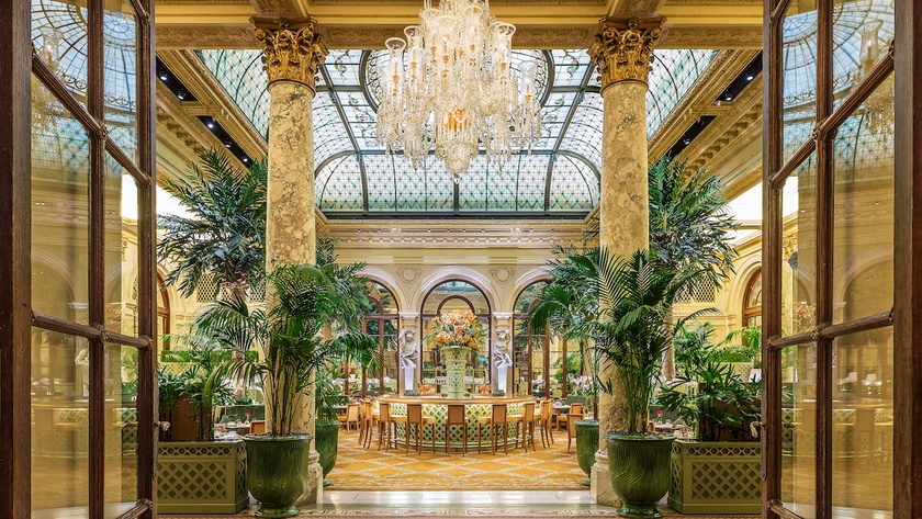 The Palm Court