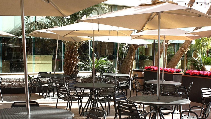 The Coffee Shop