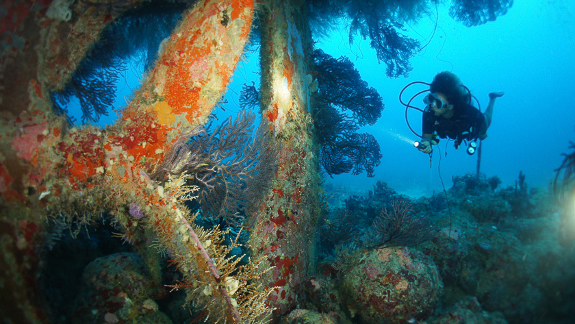Diving Shakem Wreck
