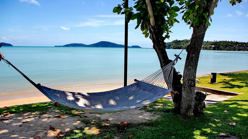 Hammock