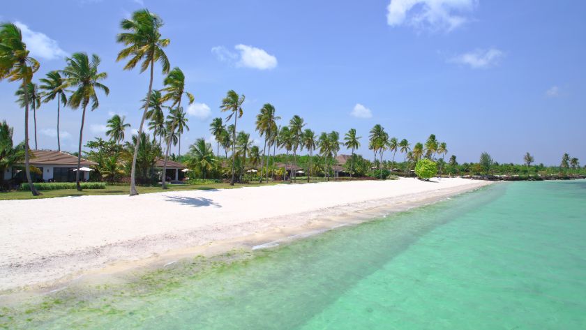 Mile Long Beach 