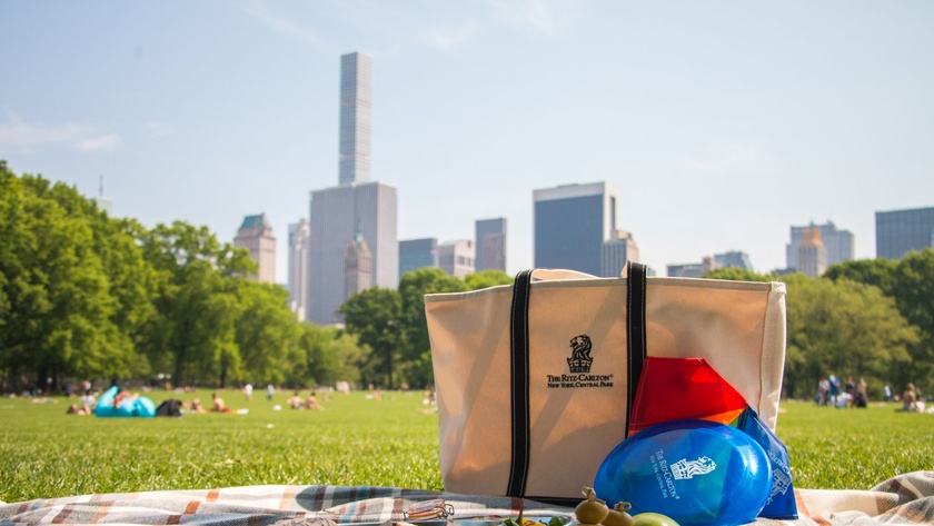 Picnics at Central Park