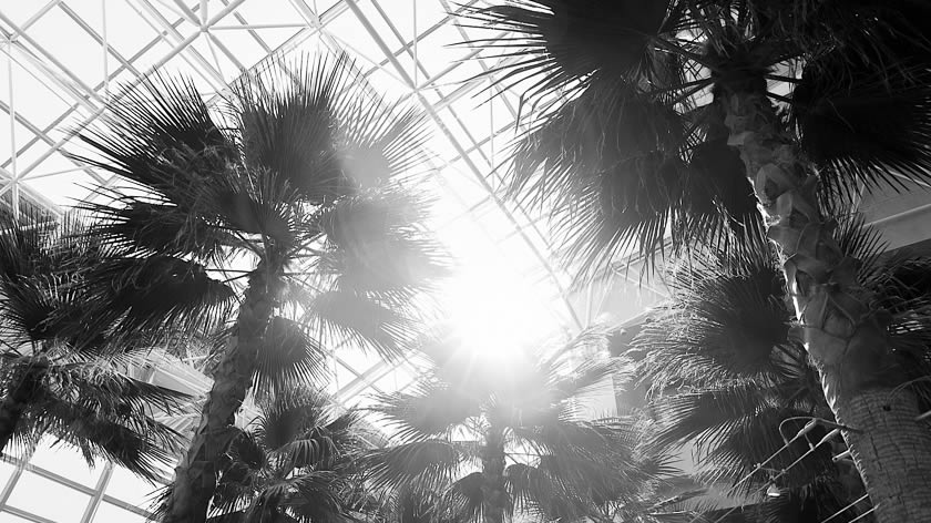 Resort Lobby