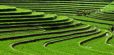 Ubud