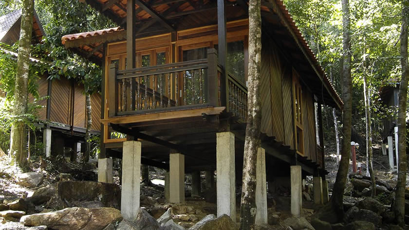 Rainforest Chalet Facade