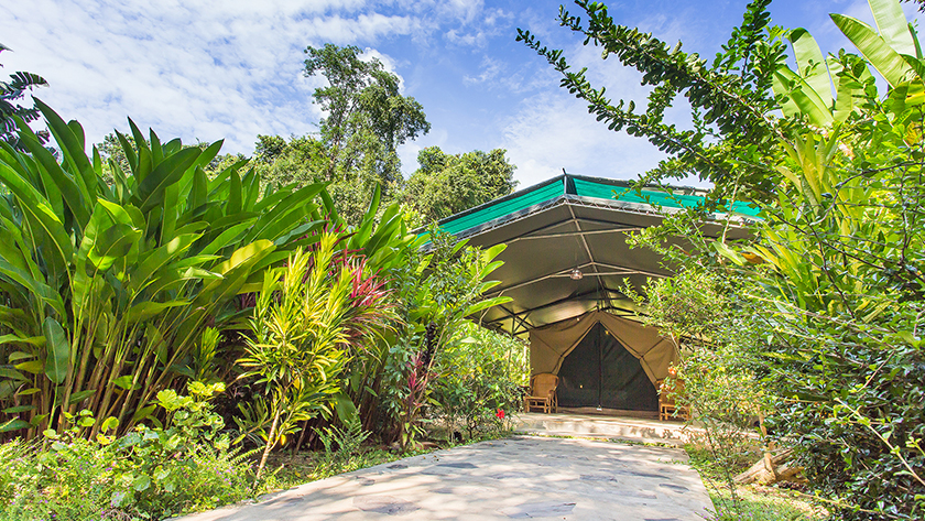 Jungle Safari Tented Camp