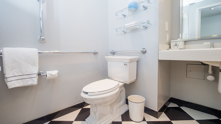 Accessible Room Bathroom 2