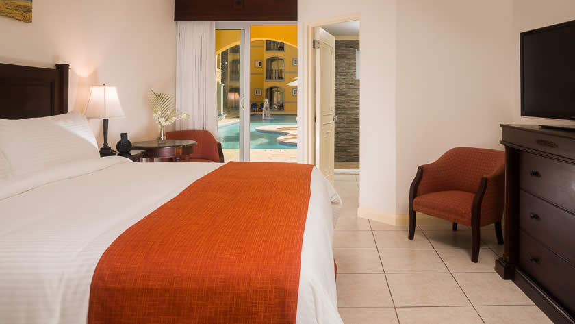 Pool View King Guest Room