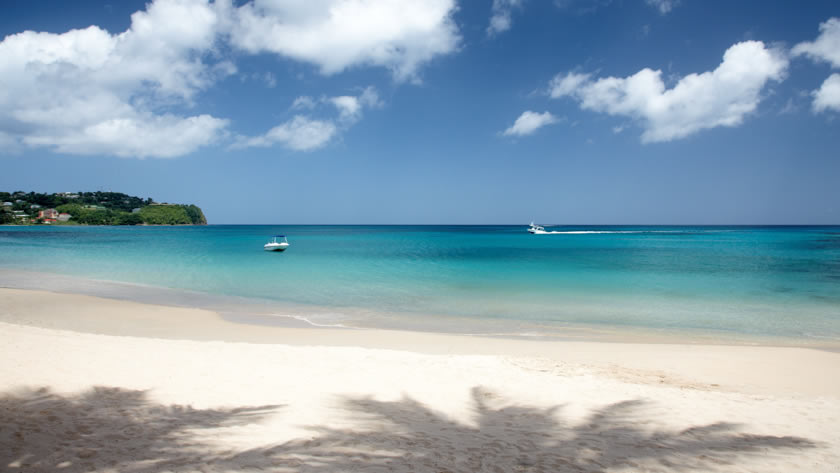 Signature Beachfront Suite