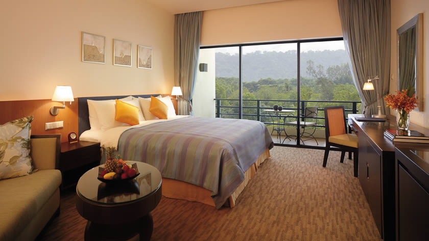 Mountain View Room