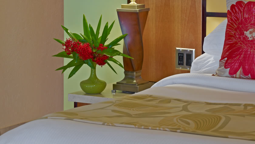 Pool/Garden View Room