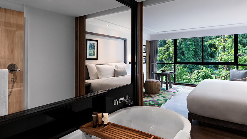 Mountain View Room