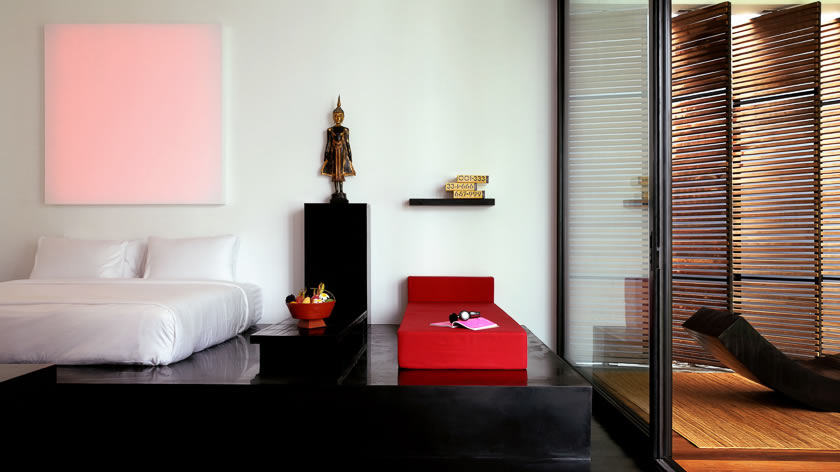 Exotic Suite 